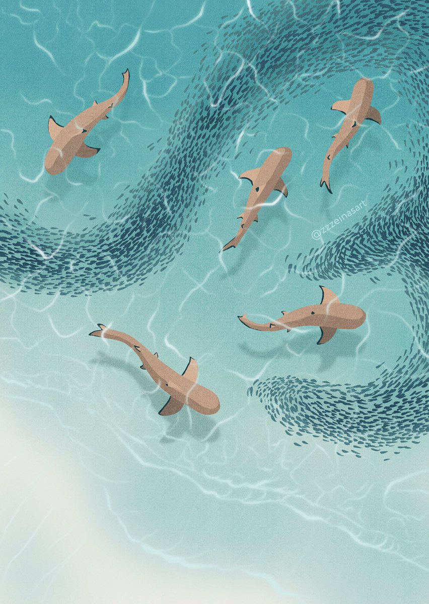 studioskysi's tweet photo. Sharks weaving patterns through schools of fish 👌🏽✨ https://t.co/CSRx3sbdHp