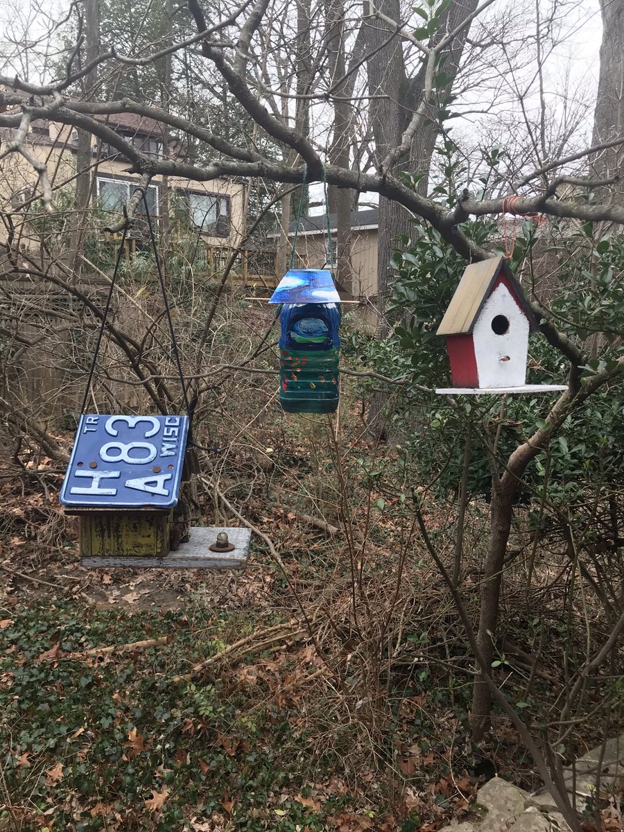 CarlaPerlo's tweet photo. This week I begin two FREE online new classes Arts &amp; Crafts from recycled materials - Creative Movement &amp; Literacy. Register @ Takona Park Recreation. Join me! https://t.co/DAUHMo5MXr