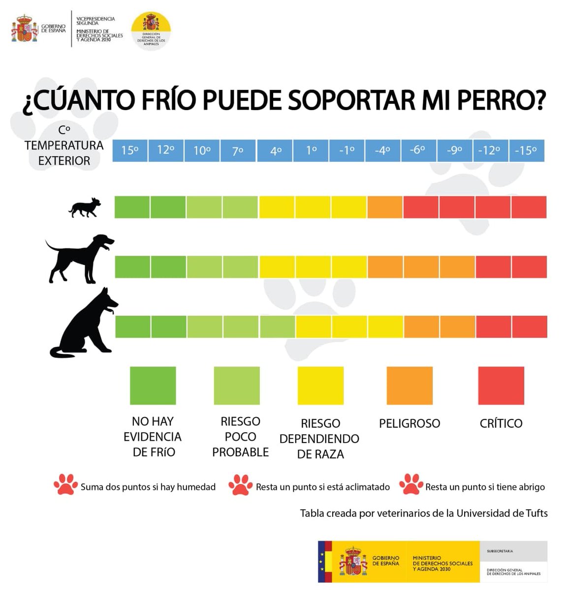 D. G. Derechos Animales tweet media