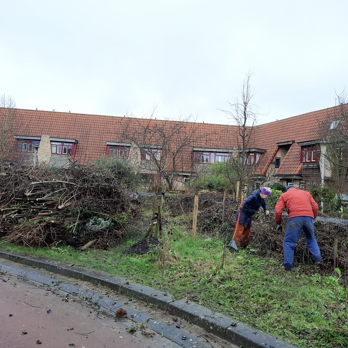 DeMeanderhof's tweet photo. Wat waren we lekker in touw afgelopen week. Snoeien, takken sjouwen en laten verhakselen en houthaksel over de paden verspreiden #Meanderhof @ekru02 https://t.co/Vsbx8Rjkde