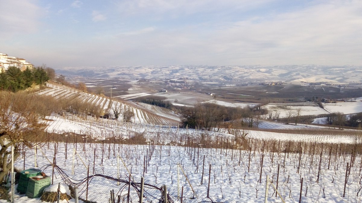 Un manto bianco ricopre Verduno e le Langhe #AlbaInLanghe #Langhe
A white cover on Verduno and Langhe #AlbaInLanghe #Langhe