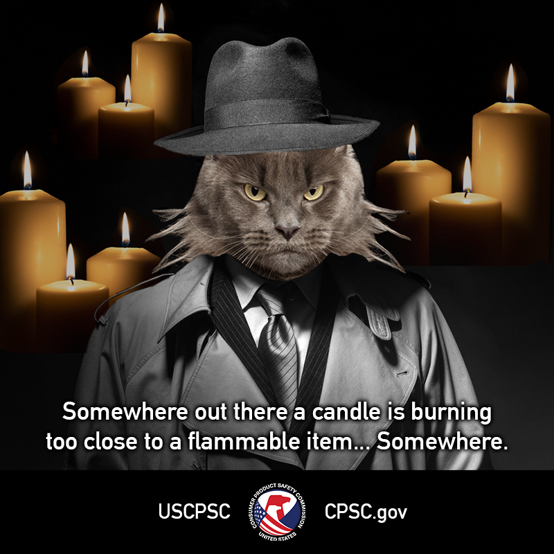 A cat in a trench coat and fedora. The text reads: Somewhere out there a candle is burning too close to a flammable item... somewhere.