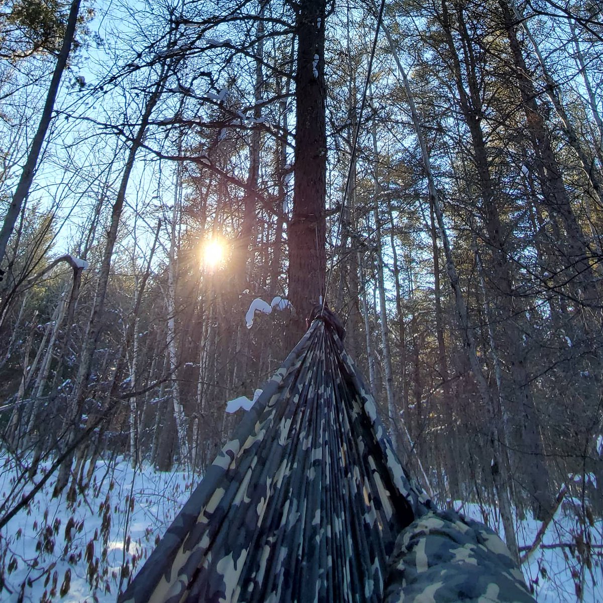UpNorthMatt1's tweet photo. Been too long...hammock time and a coffee in the woods.  Love weekends with a free afternoon. 
.
.
#upnorthmatt #hammockcamping #hammock #twigstove #northernontario #discover #getoutside #winterwonderland #dutchwaregear #hammockgear #toaks #toakstitanium https://t.co/rb9uftbXls