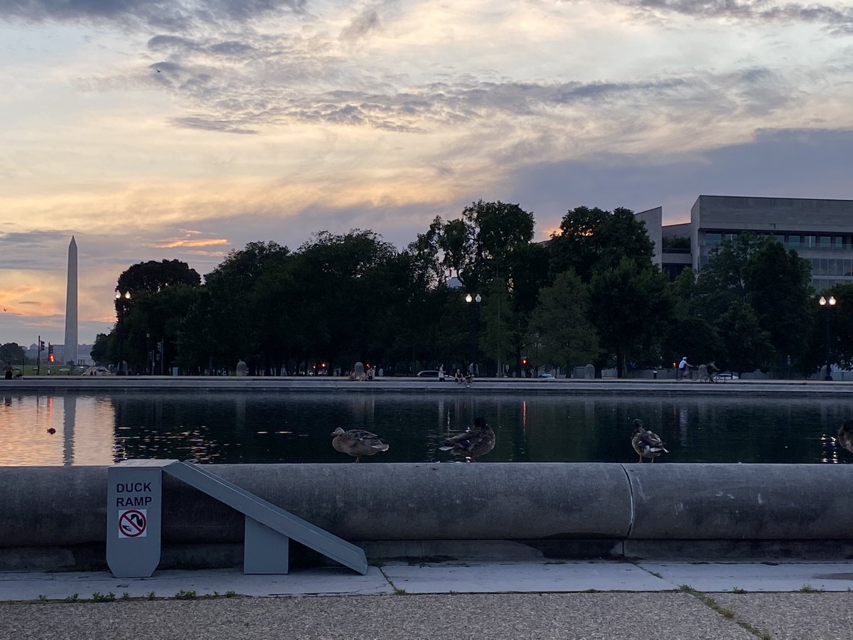 bscndc's tweet photo. @theHillisHome And let us not forget the duck ramp at the reflecting pool. This from a summer sunset walk in 2020 https://t.co/T2XhBV9lzb