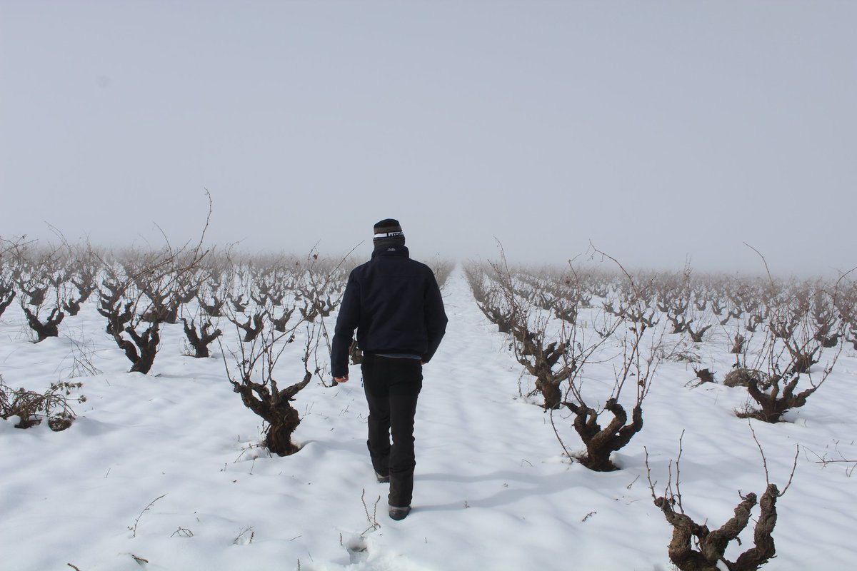 BaMig_'s tweet photo. Probando la #eos4000d #canon en la #nevada en #bullas #regiondemurcia https://t.co/rA9yEMem0B