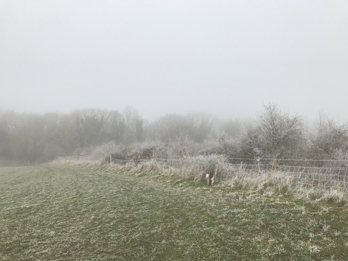 keminaija's tweet photo. Frosty morning walk on the Downs #lockdownviews https://t.co/vuO0qXWpFB