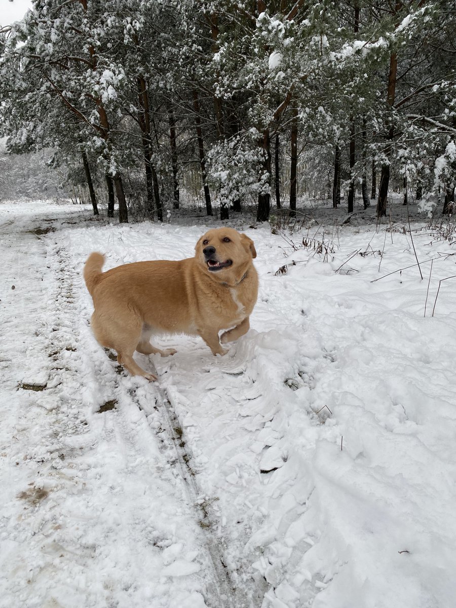 maciejbanach's tweet photo. 6 km pobiegane w pięknych okolicznościach przyrody, a jak u Was dzisiaj ze zdrowym stylem życia? #HealthyLifestyle #Prevention #ZdrowyStylŻycia #FightForHealth https://t.co/lM6B8ZeuMM