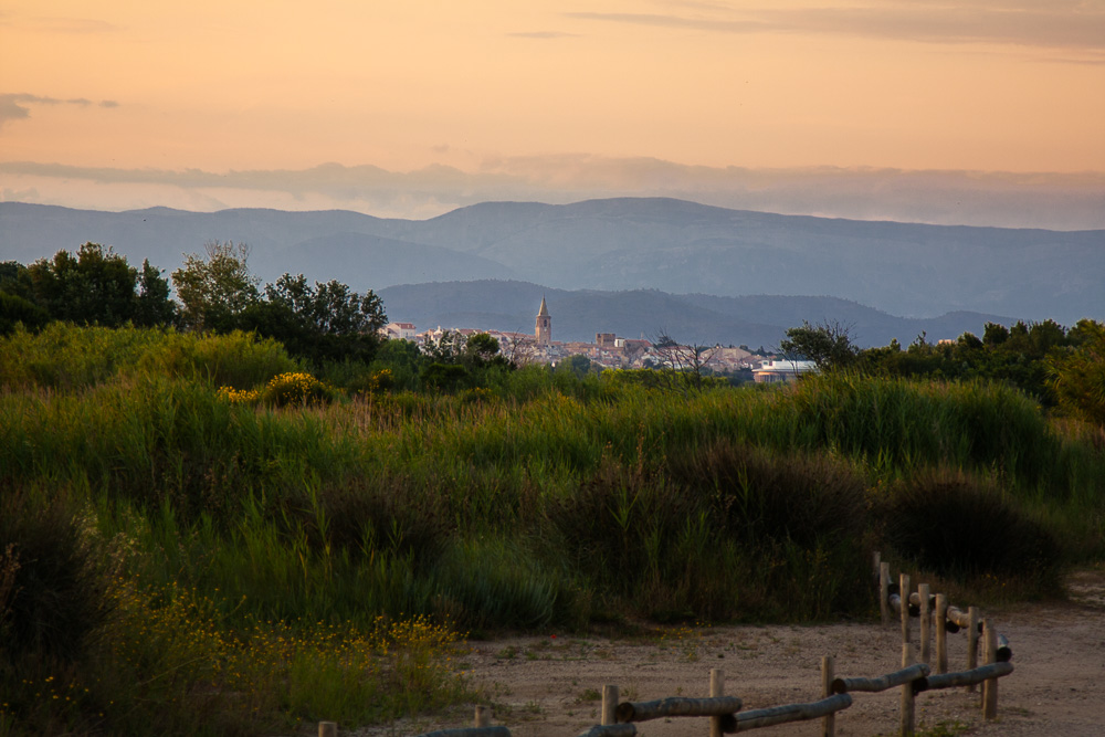 Unser erster gemeinsamer Urlaub führte Pauline und mich im Sommer 2011 ohne konkrete Pläne nach Italien und Südfrankreich.
#buntekarte #roadtrip #erstergemeinsamerurlaub #italien #frankreich #camping #zelten

buntekarte.de/unser-erster-g…