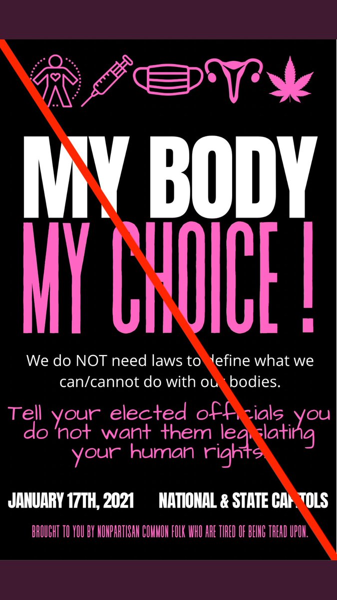 They've been putting out video calls to action for weeks. First, on January 17, they claim they're planning armed marches in all state capitols, with *particular* attention paid to states w/Dem Govs &/or Legs. 2/