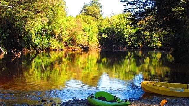repuleufu's tweet photo. Hola amigos, vamos por un día de #Kayak parate de nuestro parque, la naturaleza en su máximo esplendor 🛶🏕️🏞️🥰
Que tengan #FelizDomingo
Desde #Ancud #Chiloé #islaparaiso https://t.co/KEMCXVLnTc