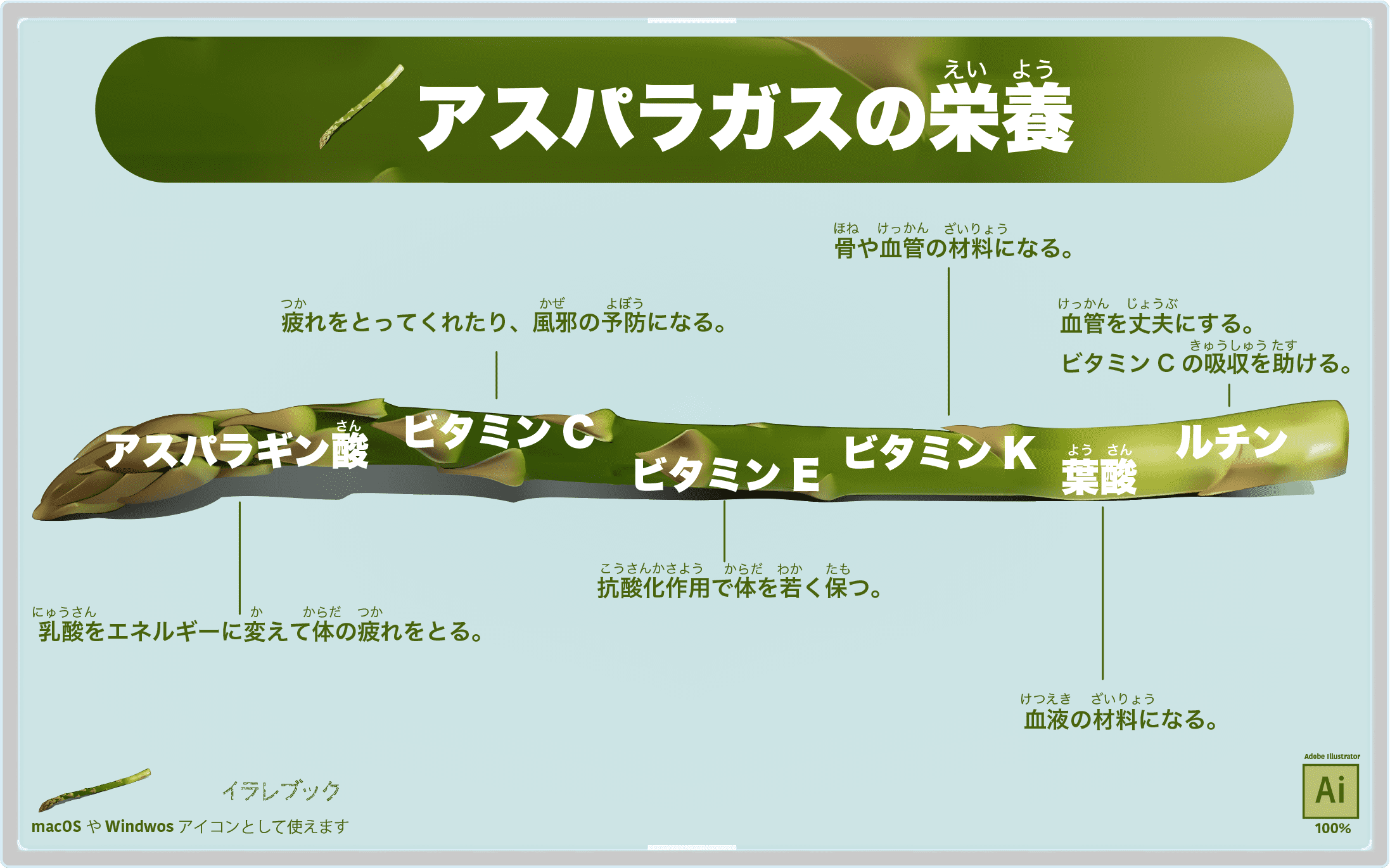 イラレブック アスパラガス 漢字で書くと 石刁柏 アスパラギン酸は実はアスパラガスより魚の干物や大豆に多く含まれている 漢字の由来とアスパラギン酸含有量ランキングも T Co Anatryry4l アスパラガス 野菜 アミノ酸 イラレブック