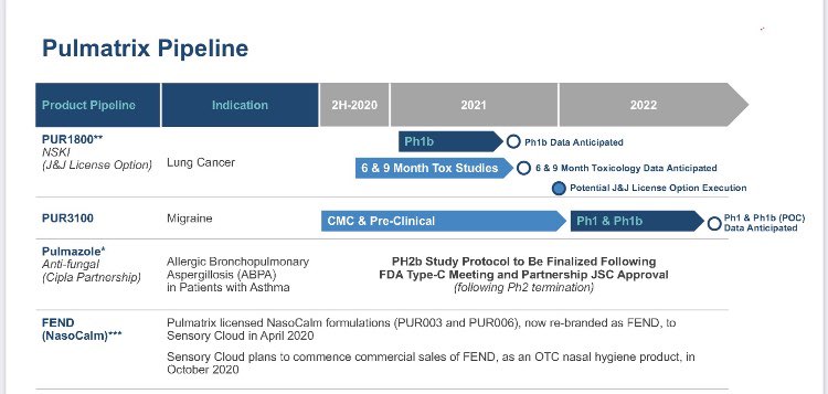 velozity_invest's tweet photo. $PULM type C FDA meeting sometime in January 2021 for #pur1900 #intraconazole #pulmazole #isperse #cipla #antifungal #pulm plus trials underway for #Pur1800 #NSKI #rv1162 #respivert $JNJ #janssen #nocoin #sensorycloud https://t.co/FjO2uBFcOZ