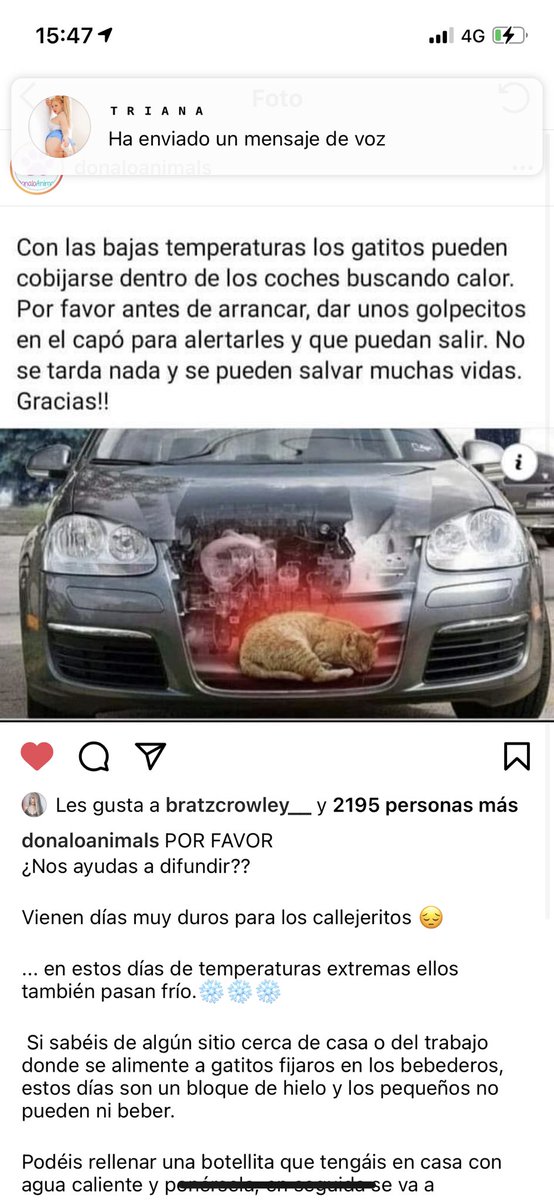 trizzyelapatron's tweet photo. Importante https://t.co/h4WlR9P5FD