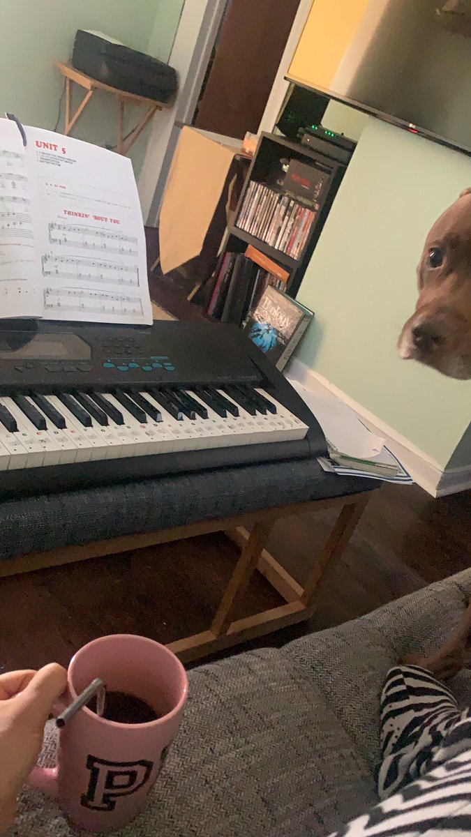 AgentAlexandria's tweet photo. Drinking my coffee with turmeric and cinnamon as my dog stares at me to hurry up and take him out. #starbucks #AMMparty #homemade #pitbull #Coffee #needtopractice #hurry #rise https://t.co/xv1PR0qAmv