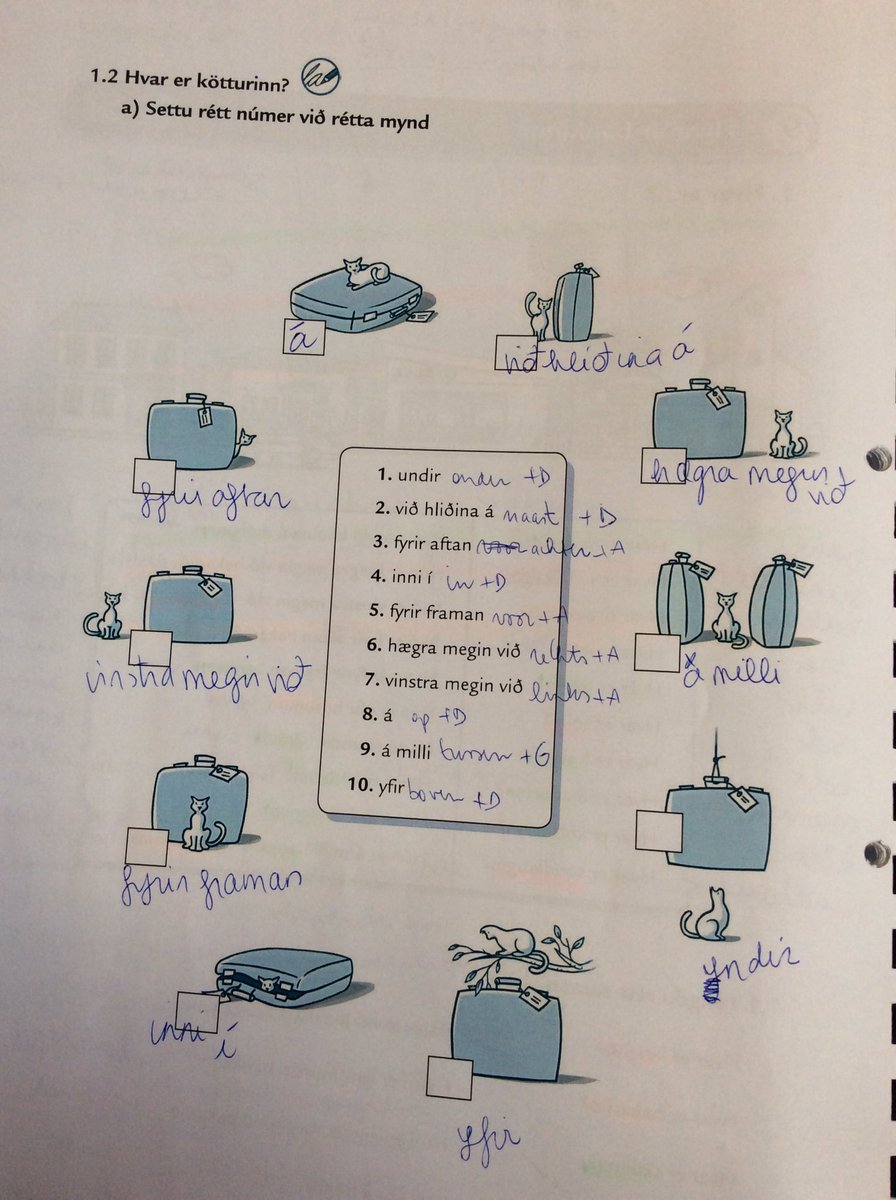 Learnicelandic