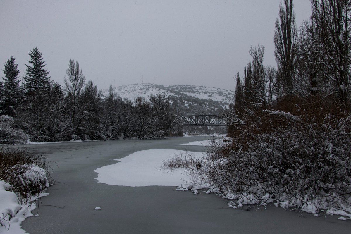 adri3793's tweet photo. #Soria es magia, es paisaje, es belleza...❄️❄️
📸 Río Duero a su paso por la ciudad.
#sorianitelaimaginas #invierno #photooftheday @CyLesVida @sorianitelaimag @ZubiaurreTV https://t.co/VL1uERsz8U