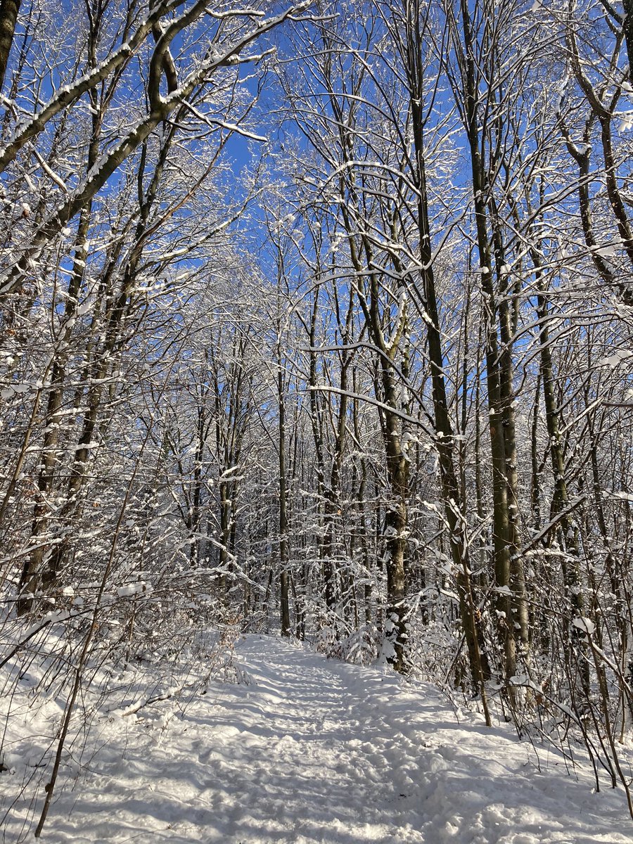 klugelars's tweet photo. Bevor einem die Decke auf den Kopf fällt, empfiehlt sich bei diesem Wetter ein Spaziergang durch unsere schöne #Winterlandschaft. Bewegung im Freien ist wichtig. Trotzdem bitte Abstand halten. #Pfaffenberg #HohensteinErnstthal https://t.co/uwurC4ImGZ
