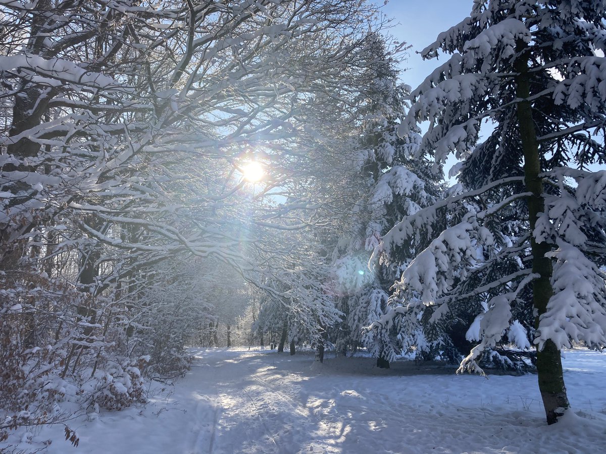 klugelars's tweet photo. Bevor einem die Decke auf den Kopf fällt, empfiehlt sich bei diesem Wetter ein Spaziergang durch unsere schöne #Winterlandschaft. Bewegung im Freien ist wichtig. Trotzdem bitte Abstand halten. #Pfaffenberg #HohensteinErnstthal https://t.co/uwurC4ImGZ