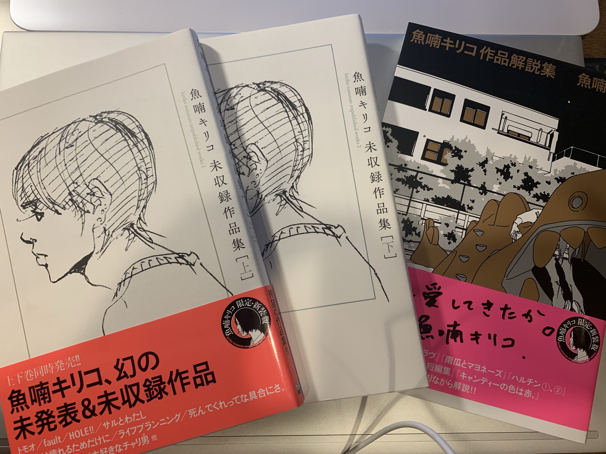 Naofumi Ito 魚喃キリコ未収録作品集 上 下 と 魚喃キリコ作品解説集 が出ていたのを知り 購入 最初は何より絵にハマってしまい デビュー当時から追いかけてきました とある事情により 今月はもう少ししたら時間に余裕が出来ますので 出来 Naofumi Ito 魚喃キリコ未収録作品集 上 下 と 魚喃キリコ作品解説集 が出ていたのを知り 購入 最初は何より絵にハマってしまい デビュー当時から追いかけてきました とある事情により 今月はもう少ししたら時間に余裕が出来ますので 出来