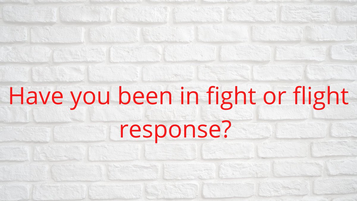 ToolboxSingle's tweet image. 