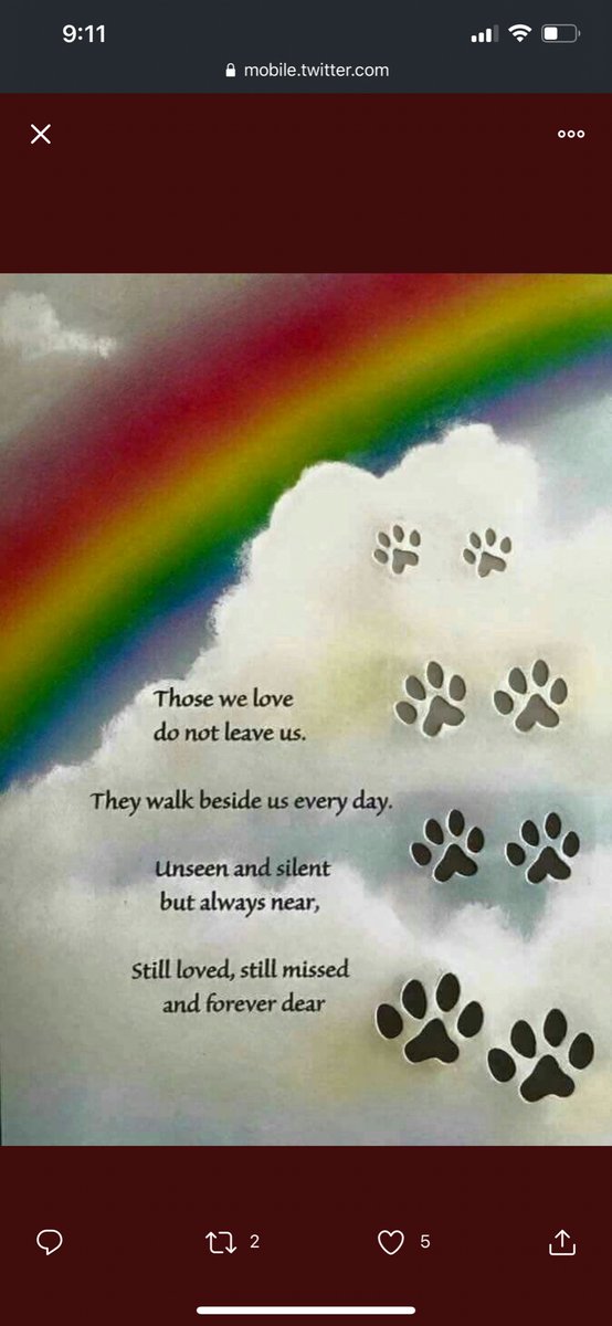 Amy, angel Izzy, and Sophie 😍🐶😇💝 tweet media