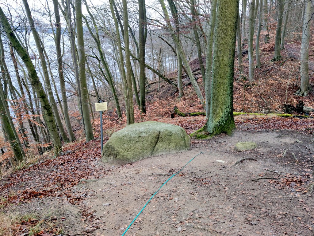 freitagsfrau's tweet photo. #LebewesenBäume
#Falladas Hullerbusch bei Carwitz, M-V https://t.co/MjabgpRAPJ