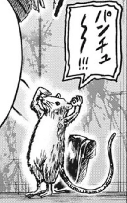 ???‍♂️?

???パンチュ〜!!!
#忍者と極道 