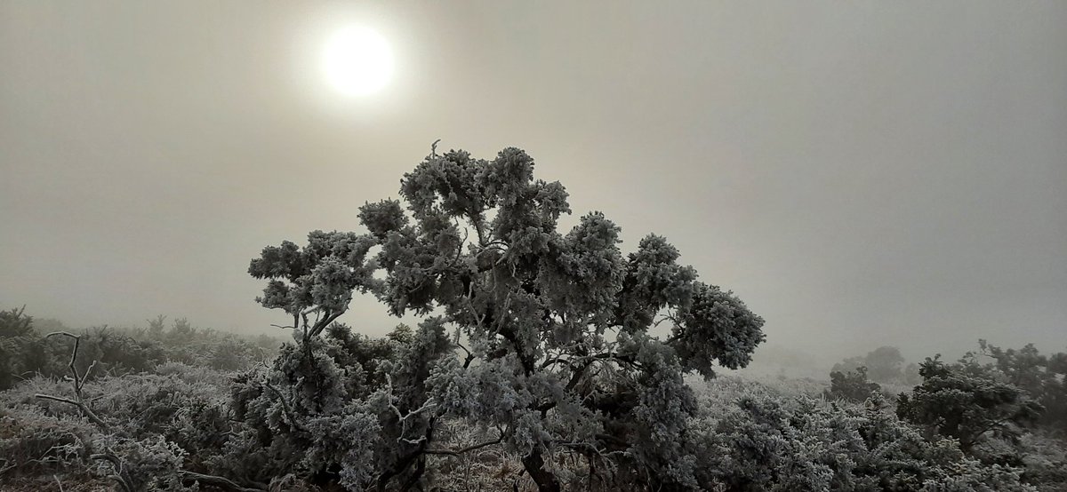 Nat Stewart tweet media