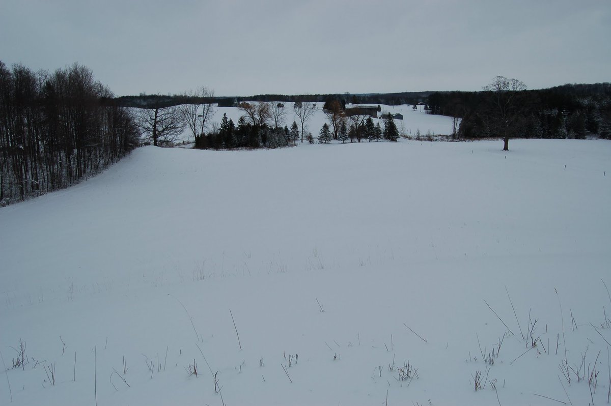 myhuronroots's tweet photo. @mark_mccowan That hill is a generational legacy.  Memories from 13 years ago on the #RathwellFarm #Fun4Hours Thanks for sharing. https://t.co/DhViRJ28Yi