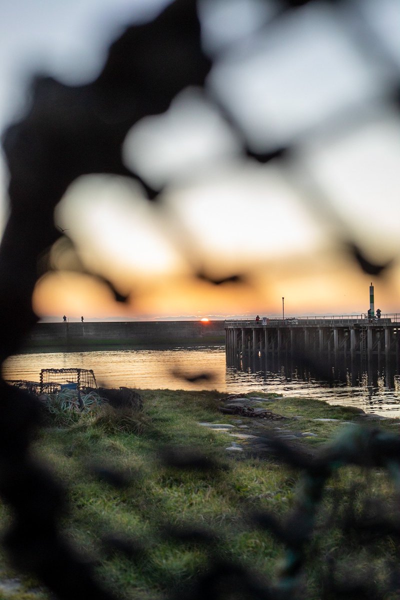 Shoot for the SER tweet media