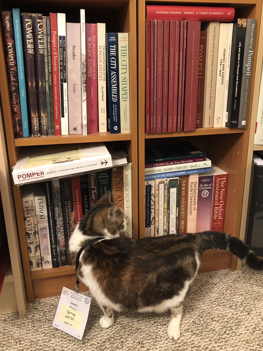 clairejweiss's tweet photo. We went to the Sunday morning #AIASCS book sales, but Yetta assured me that we already own all these volumes. Good thing too, since carrying them all home would be SUCH a slog.
#aiascsPETS https://t.co/myiyKgn85t