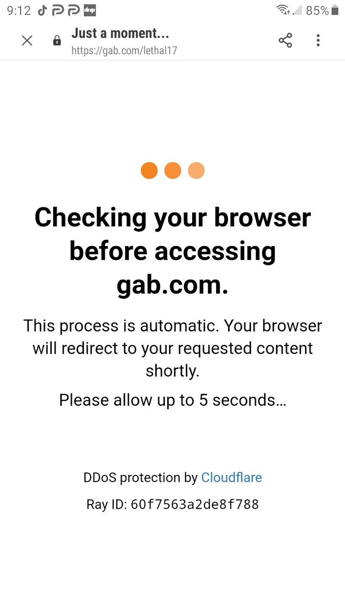 @James05440357 Anyone getting this when trying to access Gab or Parler online?