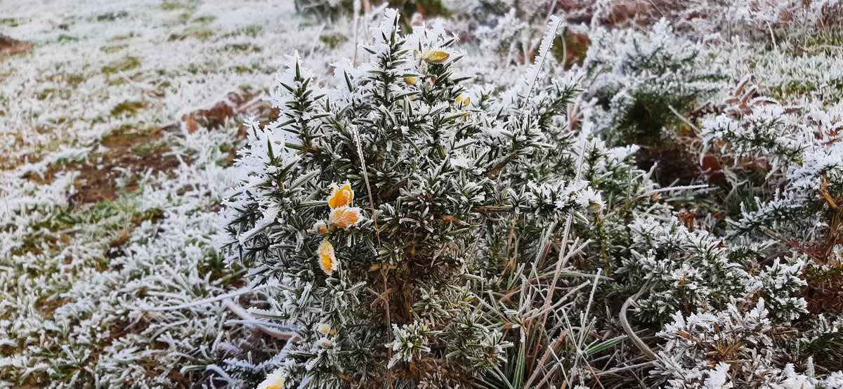 Nat Stewart tweet media