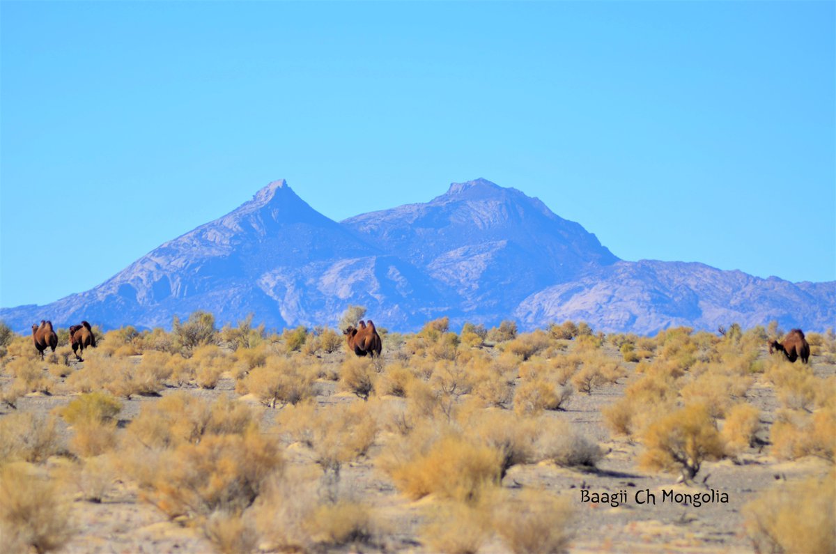 Ээж хайрхан уул
Говь-Алтай аймгийн Цогт сум