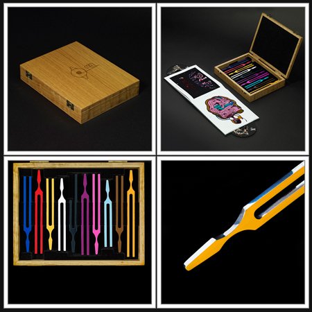 2. Biophilia: the Ultimate EditionPresented in a oak hinged-lid case, consisting of the biophilia CD w/ a 48-page book, along with 10 chrome-plated tuning forks, where each fork is adjusted to the tone of a Biophilia track, covering a complete octave in a non-conventional scale