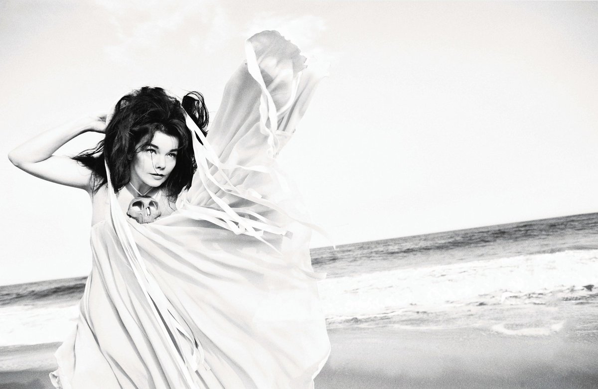14. Björk by Inez + Vinoodh for AnOther Magazine