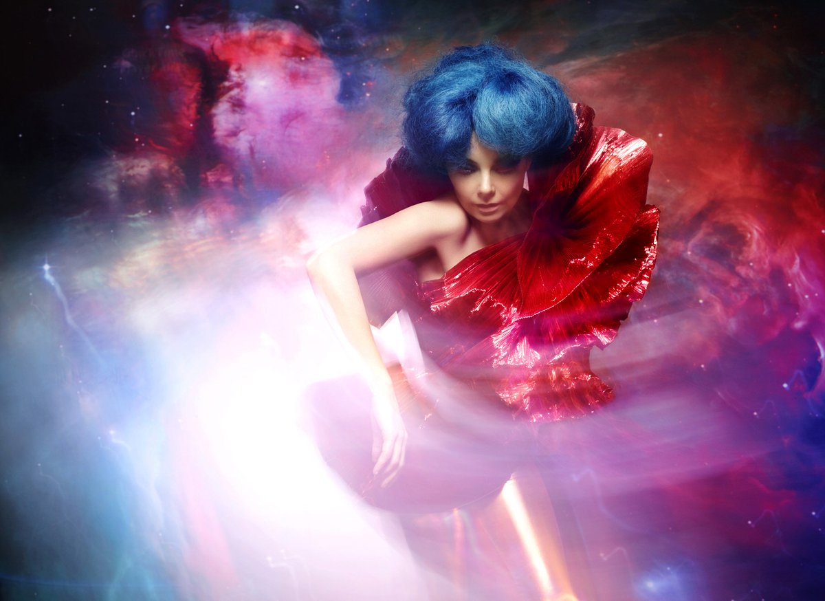 9. Björk by Warren du Preez & Nick Thornton-Jones