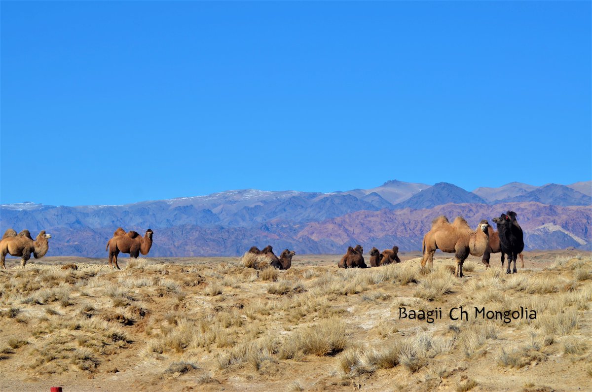 Аж Богдын нуруу
Говь-Алтай аймгийн Алтай сум