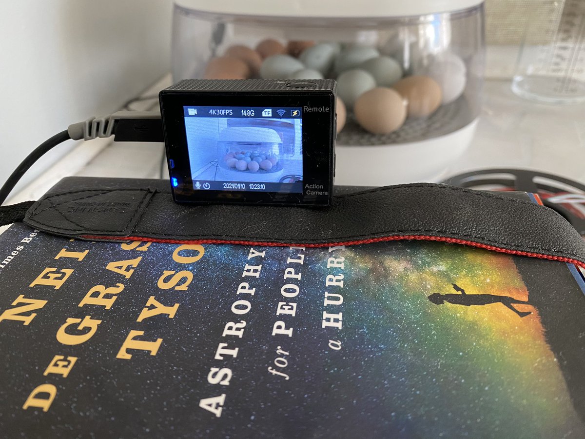 WilliamChased's tweet photo. Between today and tomorrow the ‘hatchening’ will take place...  Time-lapse is a go... Usher them in with a little reading from @neiltyson @mypetchicken https://t.co/xtjDVkshBc