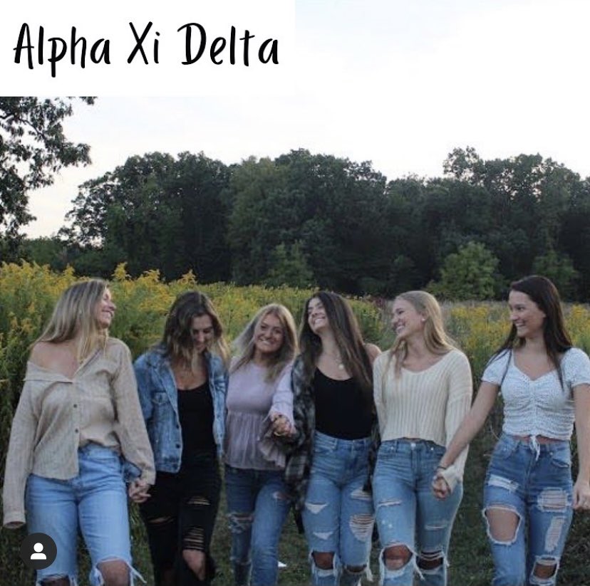 PennStatePHC's tweet photo. #MeettheGreeks Beginning with Alpha Delta Pi, Alpha Omicron Pi, Alpha Phi, and Alpha Xi Delta 🤍 https://t.co/tWQVq8jmdE