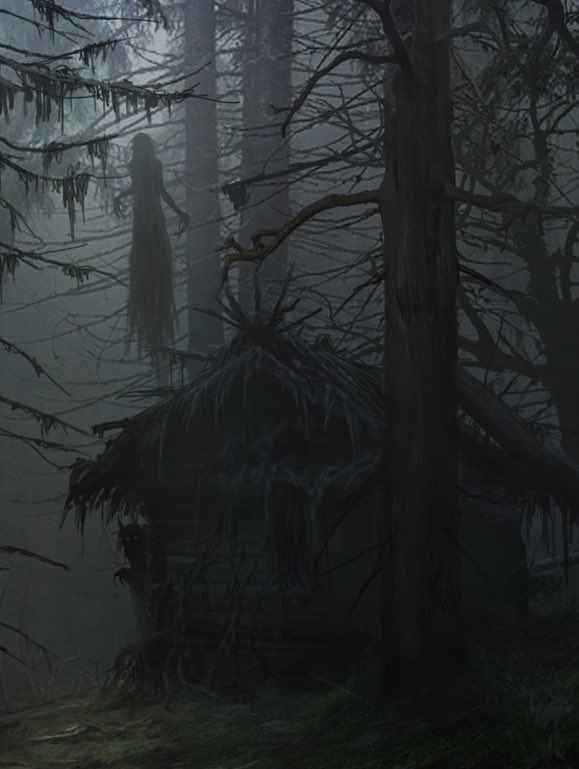 Diane Doniol-Valcroze tweet media