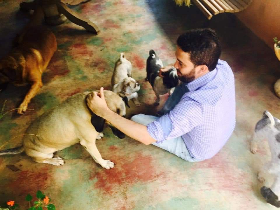AndreJanonesMG's tweet photo. Não tem como falar em cuidar de todos, se nesse “todos” não estiver incluídos nossos animais. Não sou ativista da causa, mas votei e continuarei votando tudo a favor dos bichinhos enquanto eu estiver aqui representando o povo brasileiro. 

Bom domingo a todos! https://t.co/B5EgUcGsAX