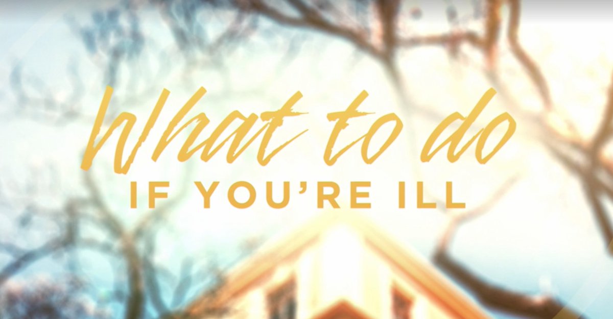 ScientologyIE's tweet image. We hope you won't need this, but so you're prepared, watch these essential tips to help guide you on what to do if you get ill 💛

scientology.tv/series/staywel…

With @scientology @scientologyNetwork

#staywell #beatingcorona #health #covid19 #corona #healthtips #scientology