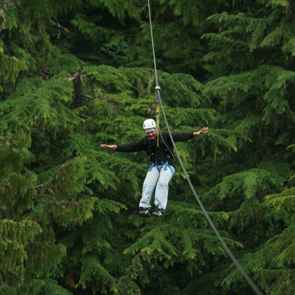 AshutoshRawal13's tweet photo. Have you ever heard about Chiang Mai !
Not many people know about the adventure sport called Zip Trekking, when Chiang Mai had perfected this art and experience of this sport.
#chiangmai #thailand #ziptrek #adventuresports #extremesports #adrenalinerush #travelphotography https://t.co/1332oxAUV0
