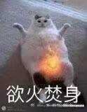 a_qland's tweet photo. @momoyoru1 hhh刚从老福特上跟着太太摸到推上的我表示现在和太太一个心情，我快落了。太太的止鼬图太神了太香了51115 https://t.co/xDEhzVT386