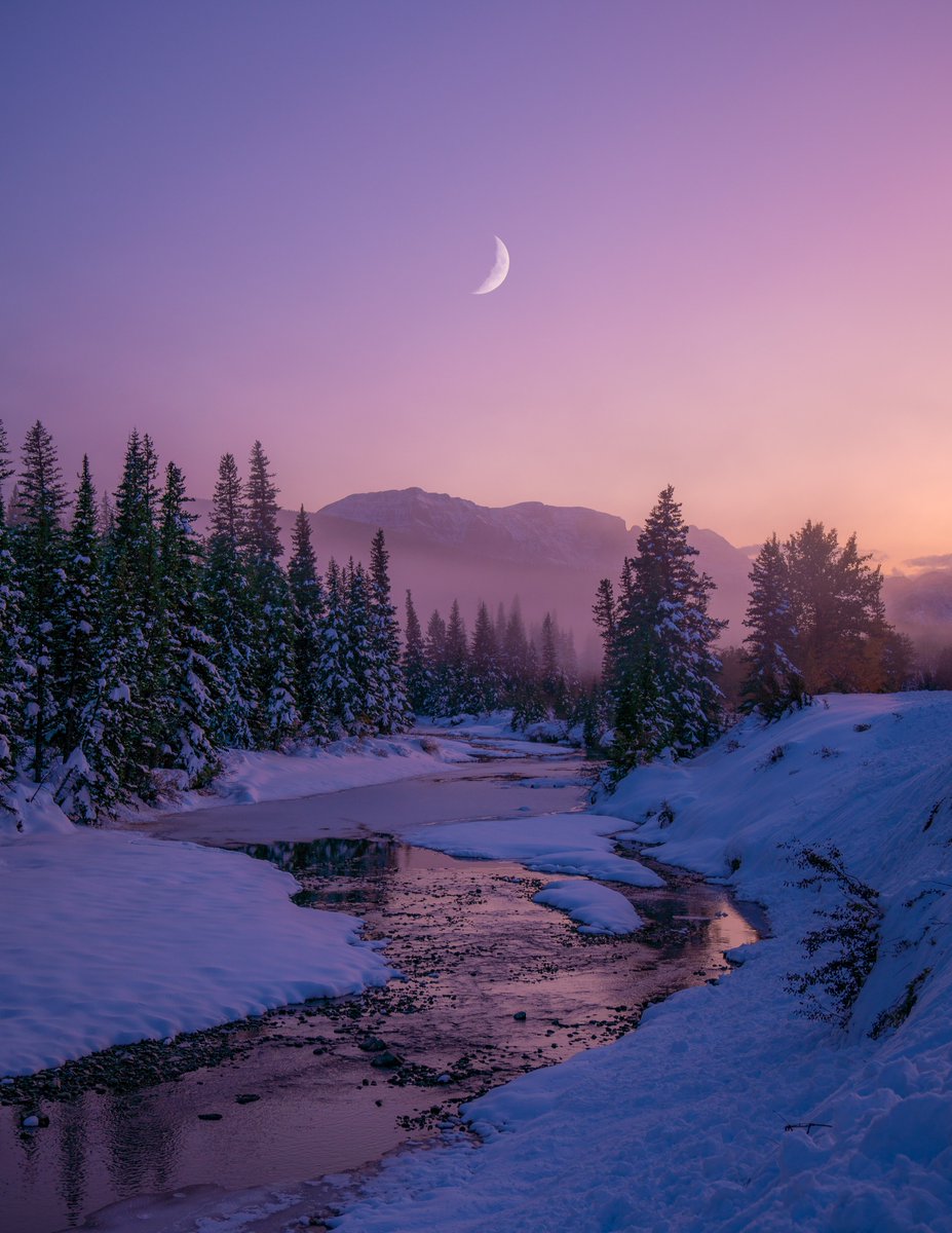 Nateinthewild | Nate Luebbe tweet media