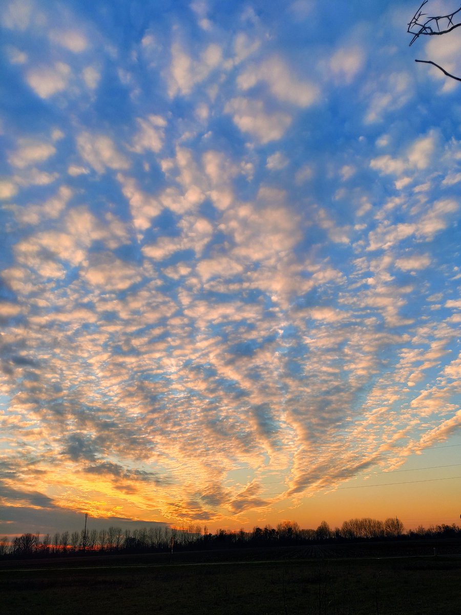 Post muto 
#DomenicaDInverno