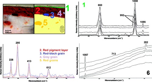 In this stratigraphy of a sample of the fauces, the following layers are distinguished thanks to their Raman bands: 1) thin black layer of magnetite (Fe3O4, 660 cm-1) and gypsum (CaSO4·2H2O, 1008 cm-1), 2-4) red pictorial layer -hematite- (Fe2O3), and 5) calcite mortar (CaCO3).