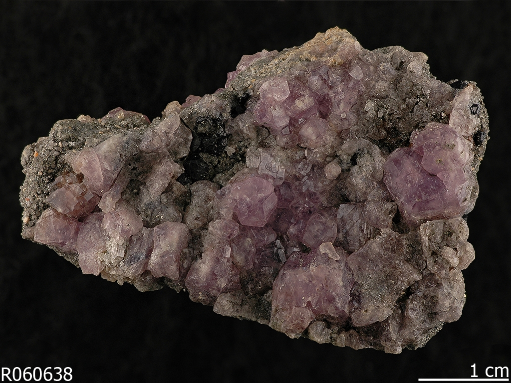 On the other hand, some whitish-red areas of the samples of the triclinium yielded Raman bands compatible with those of nonahydrate iron sulfates, such as coquimbite o paracoquimbite.