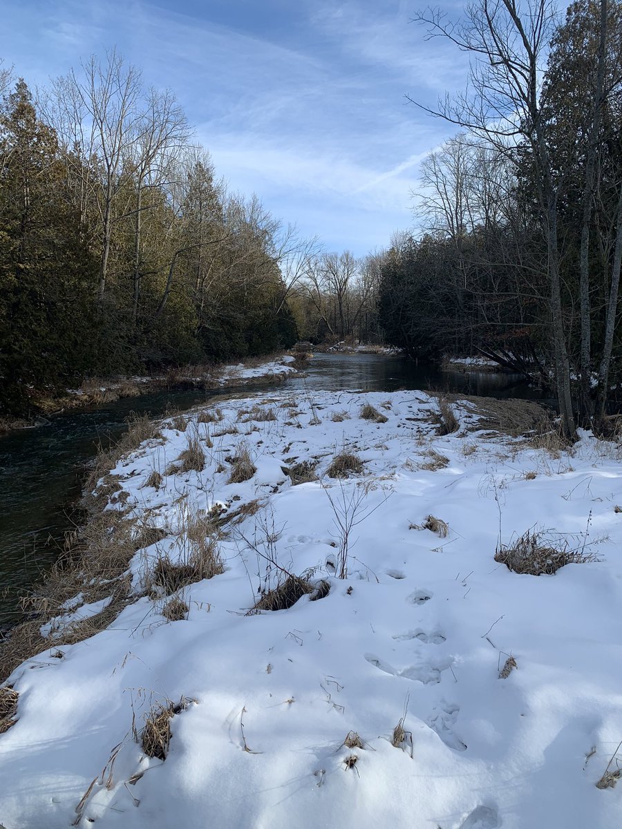Great day for a winter ice hike baby with <a href="/UnaUroy/">una roy</a> Weather nice but trails slick in <a href="/CentralHuron/">Municipality of Central Huron</a> on the Bannockburn trail. #covidfriendly entertainment and exercise.